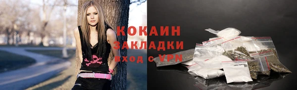 твердый Белокуриха