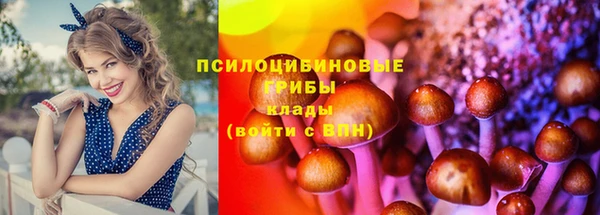 твердый Белокуриха