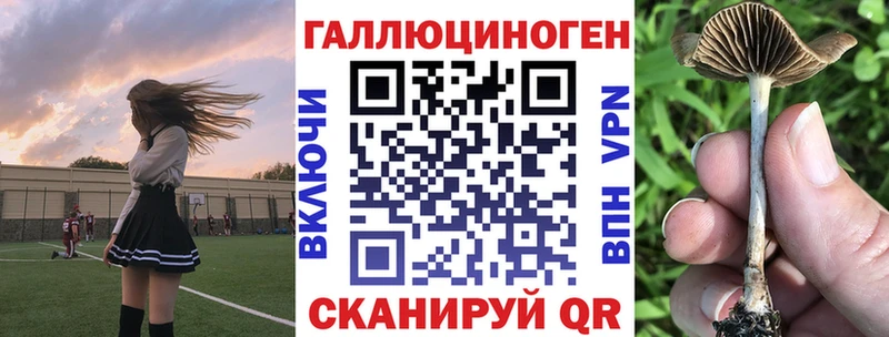 Псилоцибиновые грибы ЛСД  где продают наркотики  Торопец 